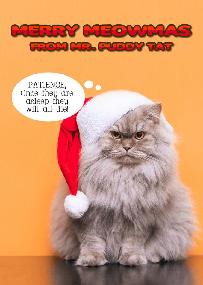 A cat wearing a Mr. Puddy tat Funny Christmas Card by Twisted Gifts.