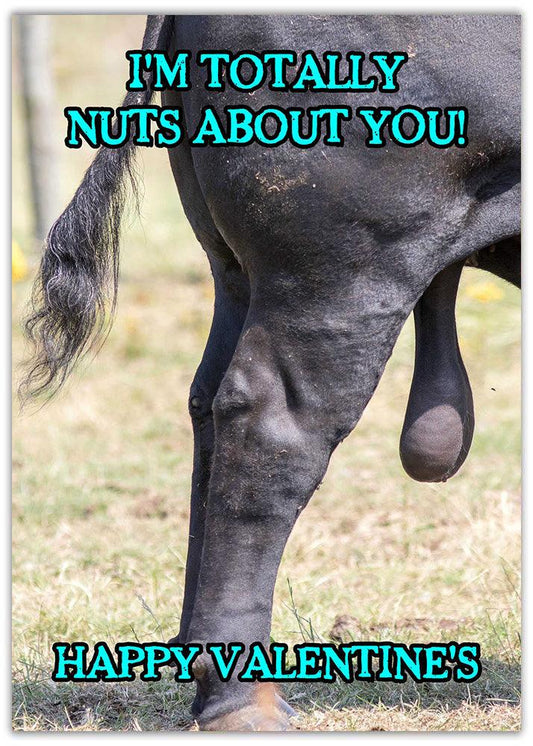 I have a funny surprise for my loved one - a Twisted Gifts Nuts About You Funny Valentines Card.