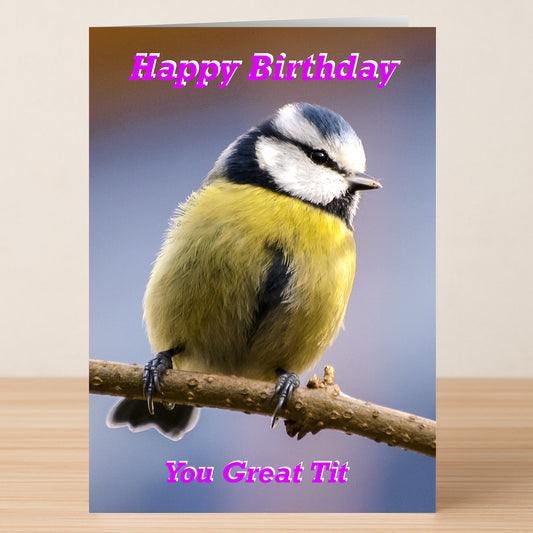 The "Great Tit – Funny Birthday Card" by Twisted Gifts features a blue tit bird on a branch with the phrase "Happy Birthday You Great Tit" in pink letters.