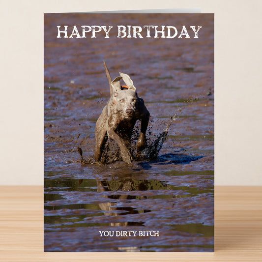 The Dirty Bitch – Funny Birthday Card by Twisted Gifts features a dog in muddy water with the messages "HAPPY BIRTHDAY" and "YOU DIRTY BITCH," ideal for anyone who loves an offensive card.