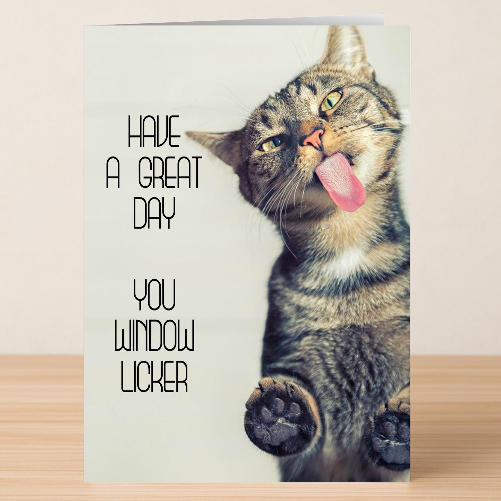 The "Window Licker" Insulting Birthday Card by Twisted Gifts features a tabby cat with its tongue out and paws on glass, plus the cheeky message: "Have a great day you window licker." Ideal for fans of funny, edgy birthday humor.