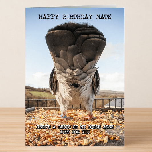 The Birds Arse – Funny Birthday Card by Twisted Gifts features a bird standing on a table with its back turned, plus the text "Happy Birthday Mate" and "Here's a photo of my bird's arse just for you.