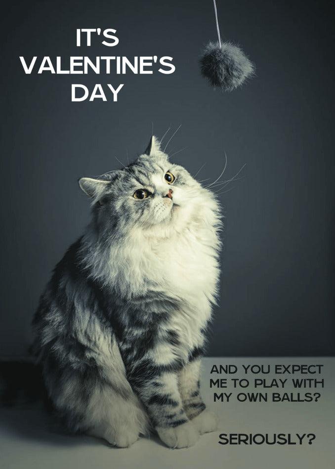 It's valentine's day and you expect my cat to be serious. However, don't be surprised if my feline companion surprises you with some Seriously Funny Valentine's cards or a Valentine's card from Twisted Gifts.