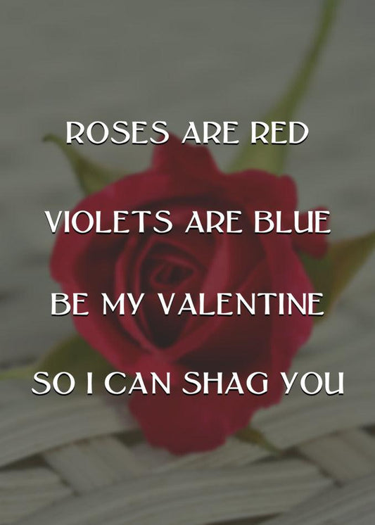 Get ready to send your loved one a unique and unforgettable surprise this Valentine's day with Twisted Gifts. Our Shag You Rude Valentine's cards are anything but ordinary. Roses are red, violets are blue,