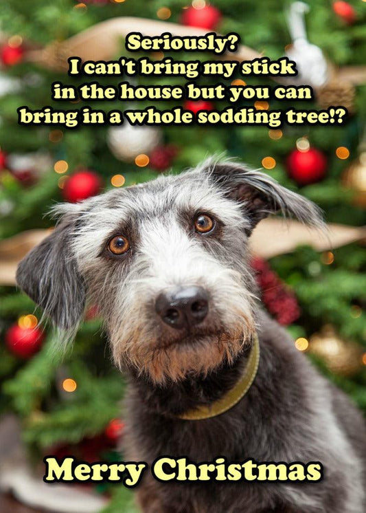 A funny dog posing with a Christmas tree, ideal for a Twisted Gifts Whole Tree Funny Christmas Card.