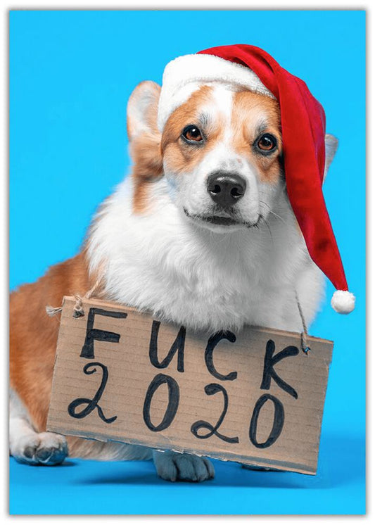 Funny Christmas Card. Cute dog with santa hat on and sign round neck saying "Fuck 2020"