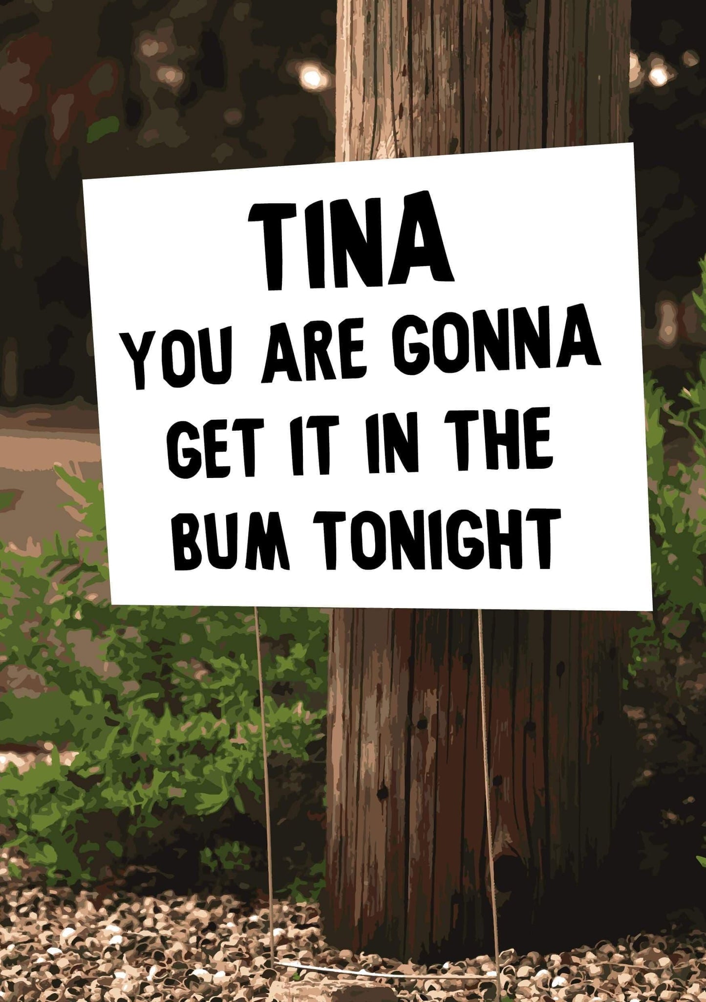 A cheeky greeting card featuring the explicit message "Bum Tonight Tina" from Twisted Gifts.